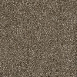 6629 Black Tea