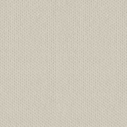 16657 Almost White