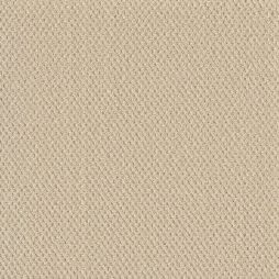 16661 Soft Beige