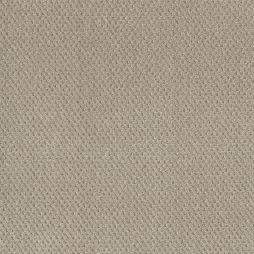 16662 Pebble Stone