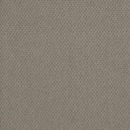 16664 Taupe