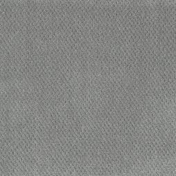 16667 Pewter