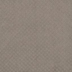 3568 Diamond Etchings-16688 Taupe
