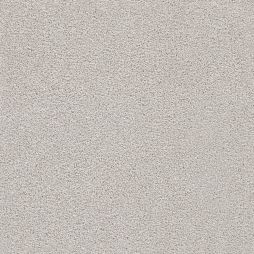 16880 Canvas