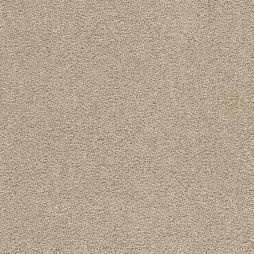 16883 Sand Dune