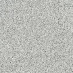 16893 Sea Shell