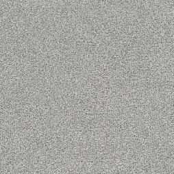 16898 Daydream