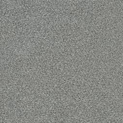 16904 Rain Dance