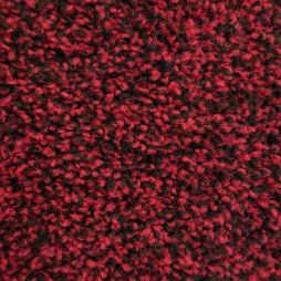 3693 Expo Rolls Only-17221 lady Bug