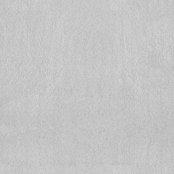 Bliss 58 / Bliss 68 in 17247 Celestyn – a soft light grey carpet with cool undertones, made from plush solution dyed nylonsilk. Waterproof and pet-safe, available in two luxurious weights.