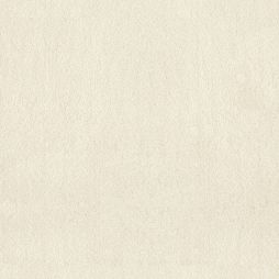 Bliss 58 / Bliss 68 in 17248 Soft Creme – a light golden beige carpet with warm undertones, made from plush solution dyed nylonsilk. Waterproof and pet-safe, available in two luxurious weights.