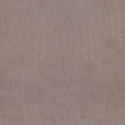 Bliss 58 / Bliss 68 in 17265 Cashmere – a dark beige to light brown carpet with a warm red cast. Waterproof and pet-safe, available in two luxurious weights.