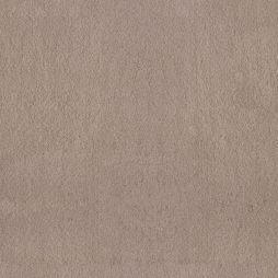 Bliss 58 / Bliss 68 in 17268 Riverbed – a dark beige to medium brown carpet with a subtle red tone. Waterproof and pet-safe, available in two luxurious weights.