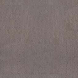 Bliss 58 / Bliss 68 in 17270 Moonstone – a medium taupe carpet with brown depth and a red cast. Waterproof and pet-safe, available in two luxurious weights.