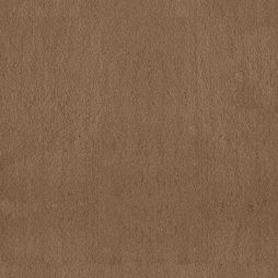 Bliss 58 / Bliss 68 in 17274 Brown Sugar – a dark beige to medium brown carpet with a red-golden cast. Waterproof and pet-safe, available in two luxurious weights.