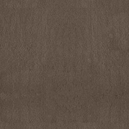 Bliss 58 / Bliss 68 in 17278 Posh Brown – a medium-dark brown carpet with a very neutral tone. Waterproof and pet-safe, available in two luxurious weights.