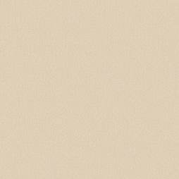 17332 Warm Beige
