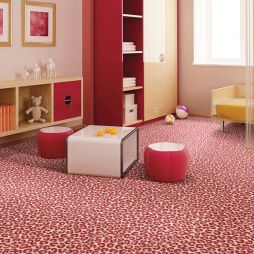 Room Scene