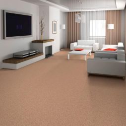 Room Scene