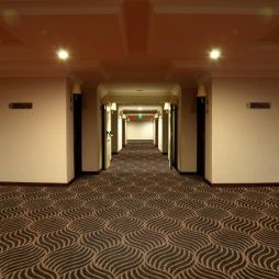 Room Scene