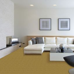 Room Scene
