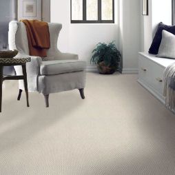 16867 Room Scene