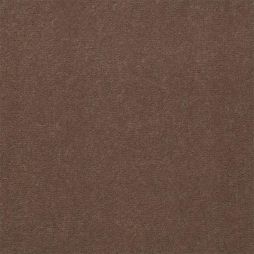 5402 Cocoa
