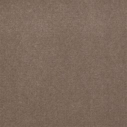 5403 Taupe