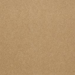 5412 Canvas