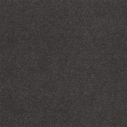 5439 Shadow