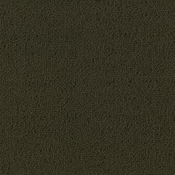 8704 Olive