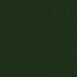 8705 Awana Green