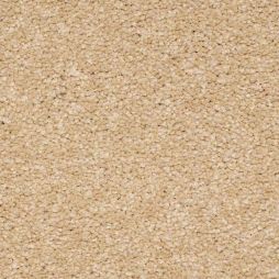 9009 Warm Beige