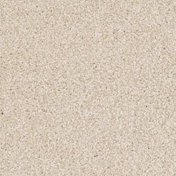 9368 Sand Dollar