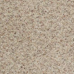 9381 Canvas