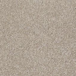9384 Coconut Shell