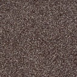 9655 Chocolate Chip