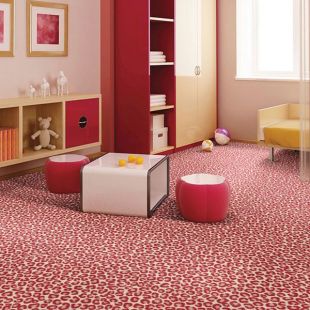 Room Scene