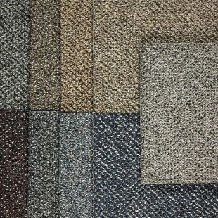 3419 All Colors
