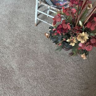 3663 Debonair 32 Closeout 