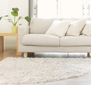 Vacuming Carpet